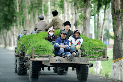 China's western development to get more support